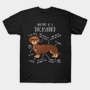 Red Wirehaired Dachshund Dog Anatomy T-Shirt